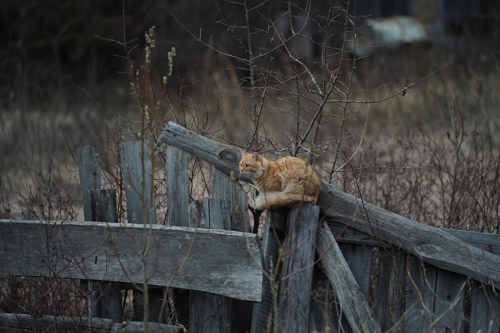 Фото: It's My City