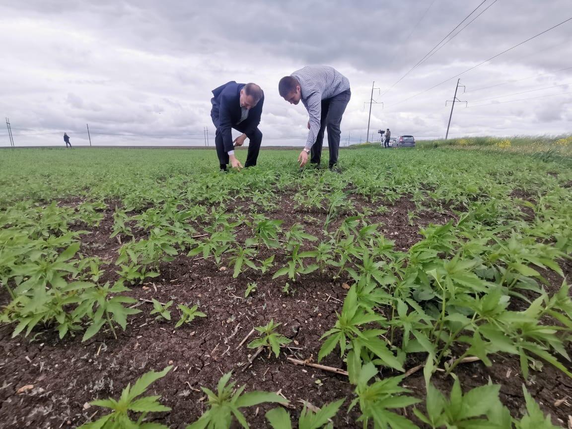 Фото: Вячеслав Вегнер во «ВКонтакте»