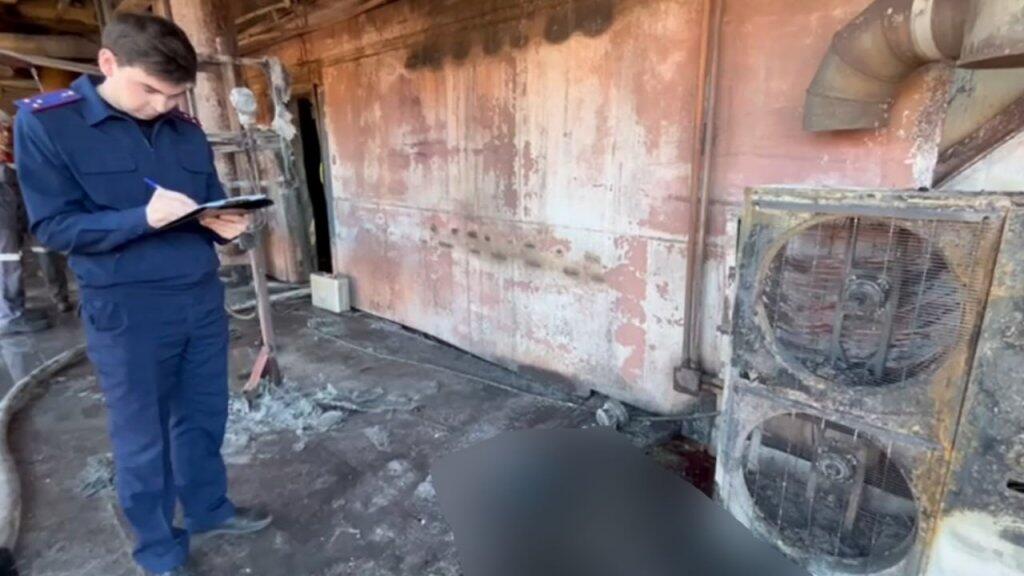 Фото: пресс-служба СК по Свердловской области