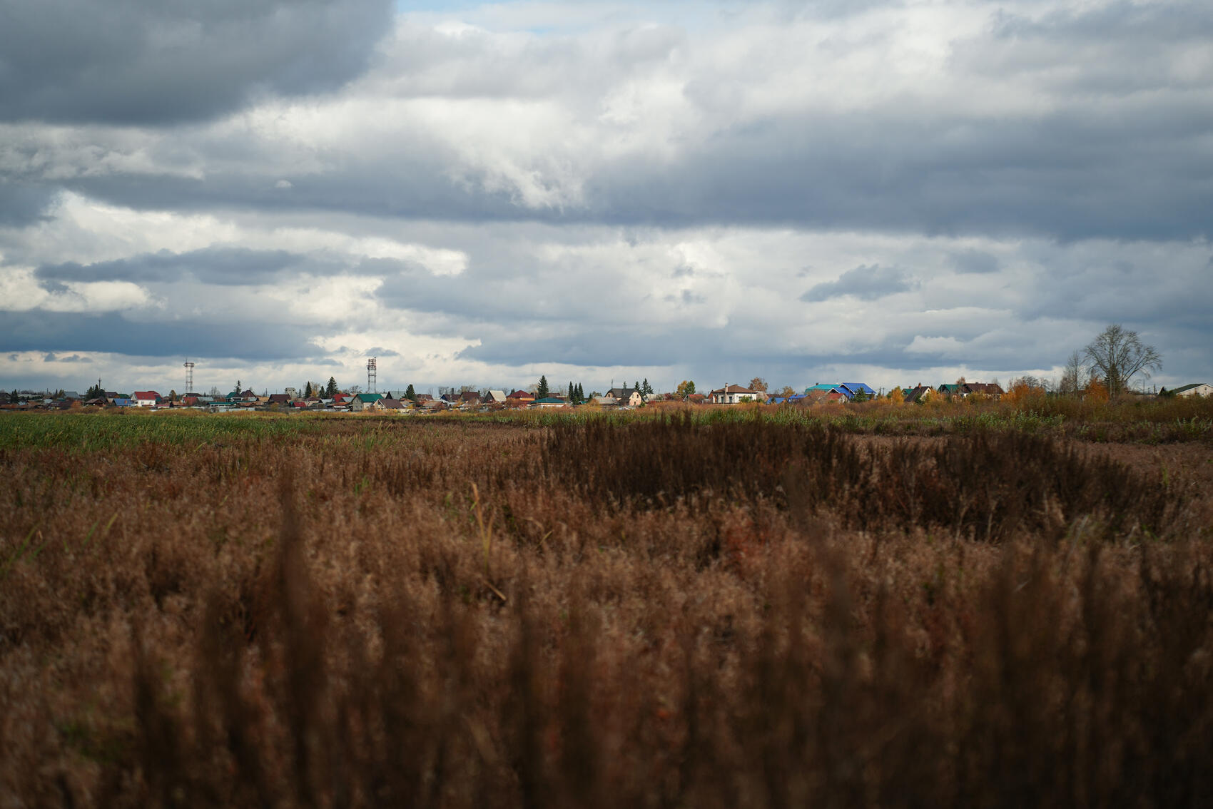 Фото: Елена Елизарова / It’s My City