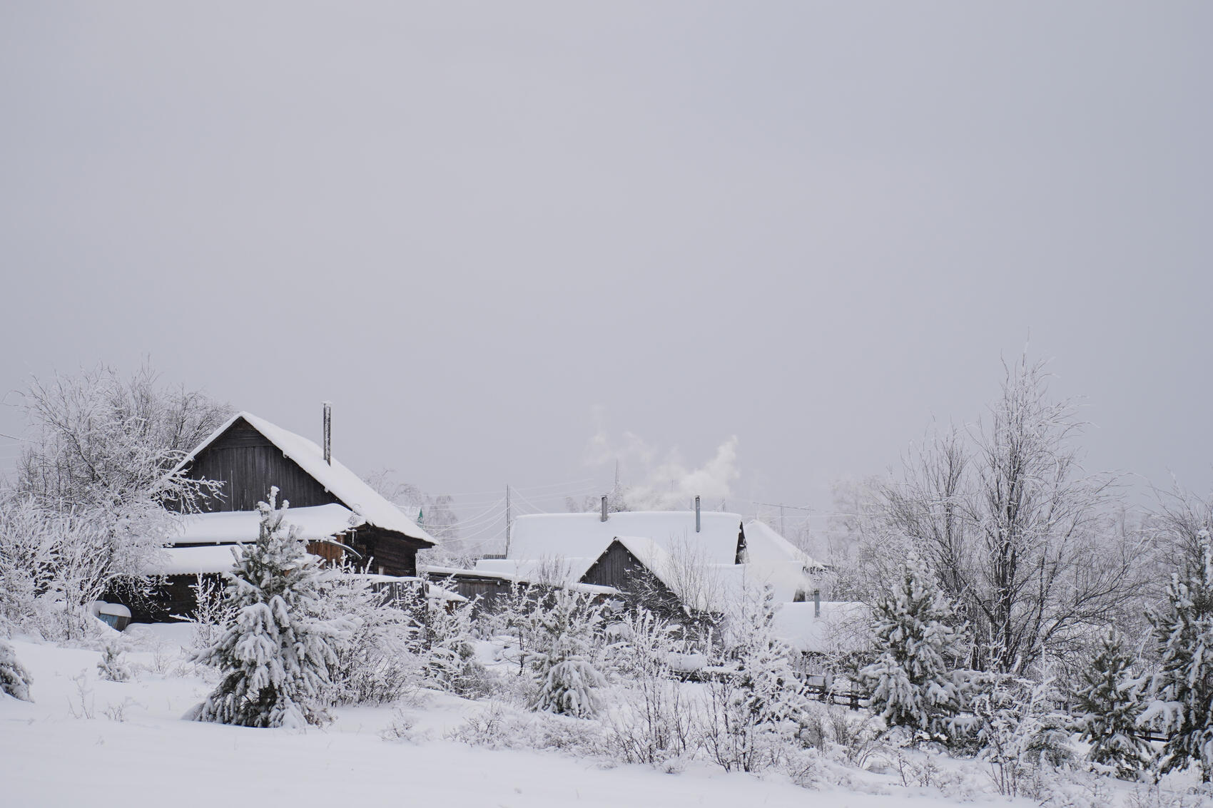 Фото: Елена Елизарова / It's My City