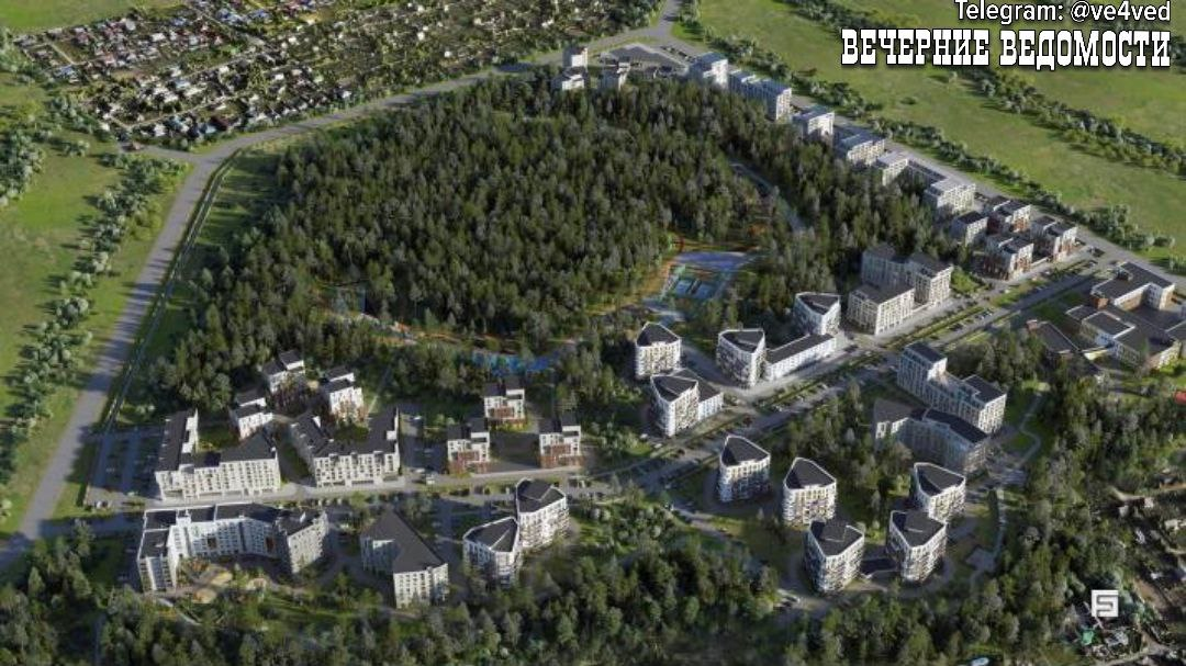 Общий вид жилого квартала сверху. Фото: «Вечерние Ведомости»