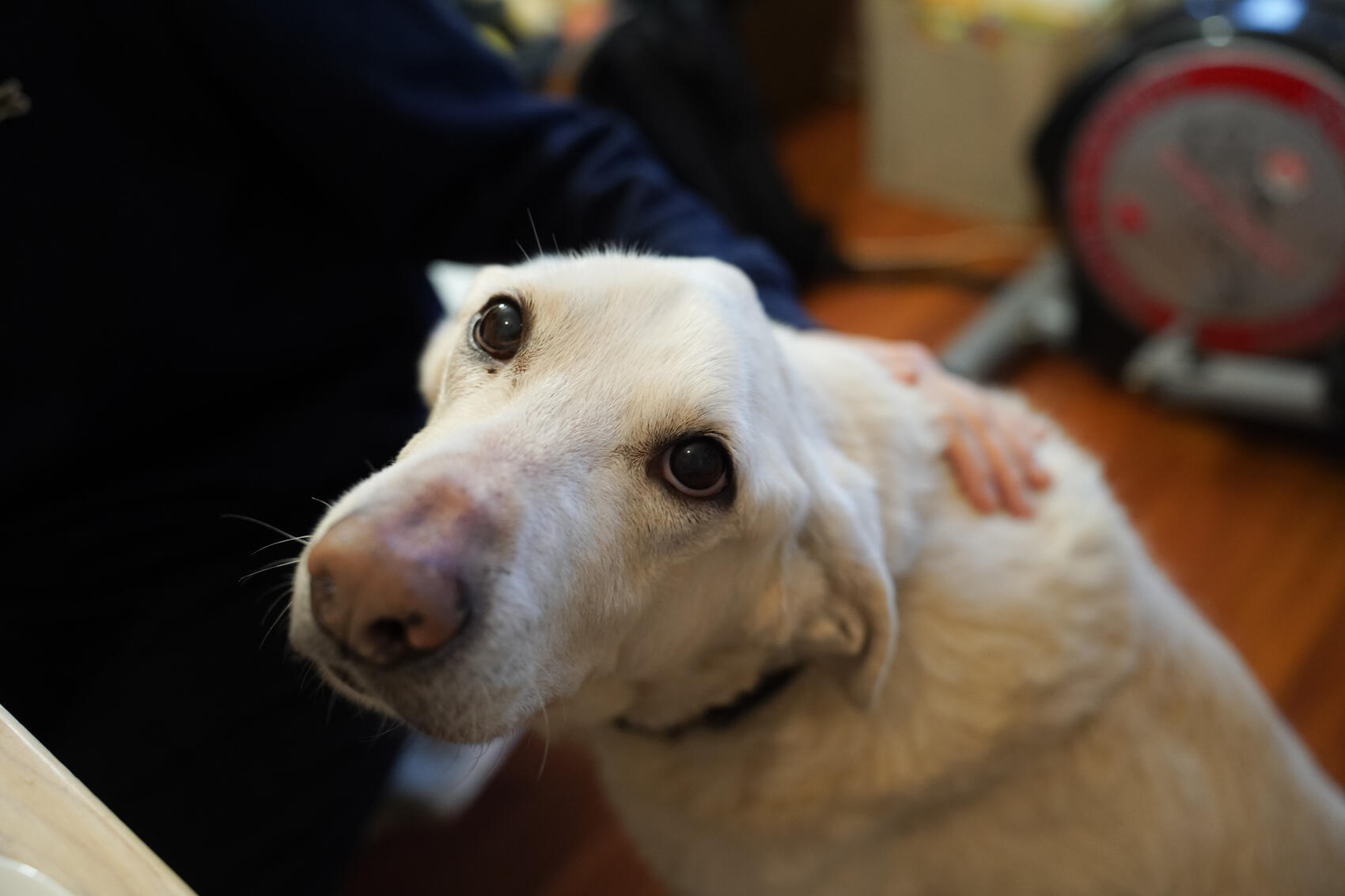 Хэн. Фото: Елена Елизарова / It’s My City