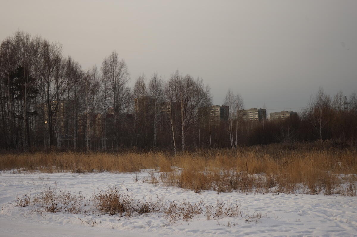 Участок базы Sun Dali, выводимый из ООПТ. Фото: Арина Томашова / It's My City