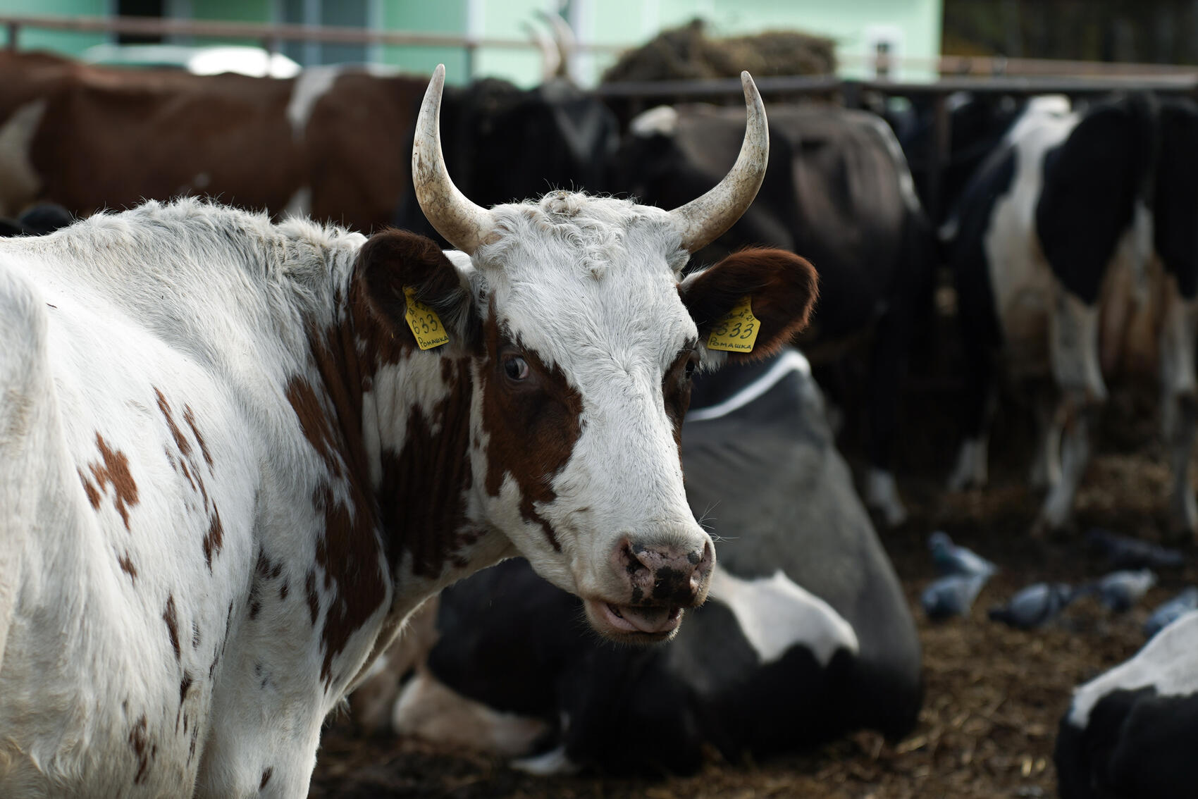 Фото: Елена Елизарова / It’s My City